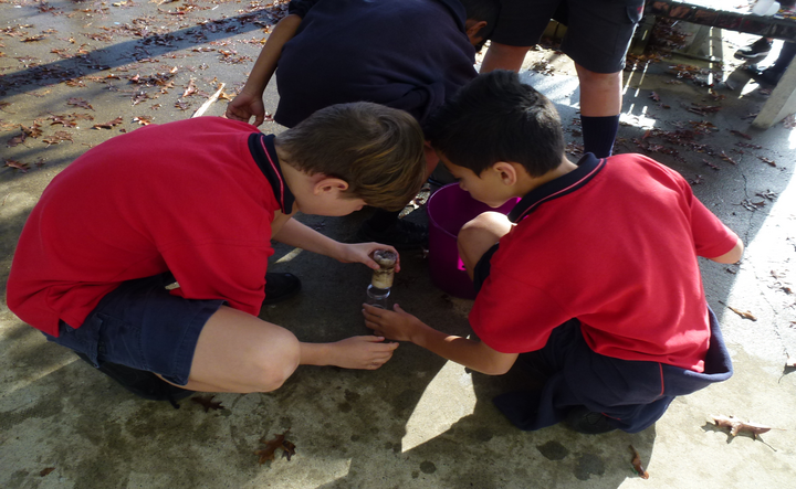image of school drinking doing drinking water tests in the school yard